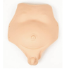 Pancini - Torso