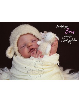 BRIN by Lisa Sylvia