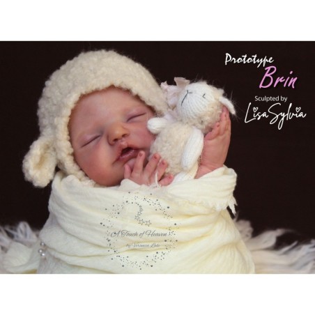 BRIN by Lisa Sylvia