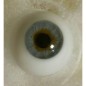 Lauscha 2 Gray