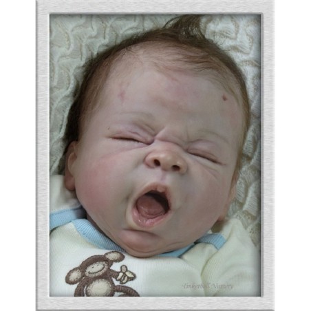 Evie by Linda Murray