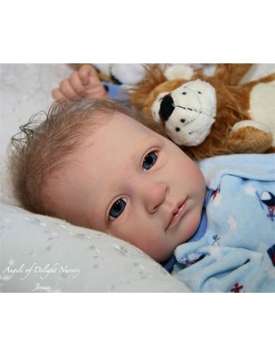 Kit Completo Jonas by Linde Scherer