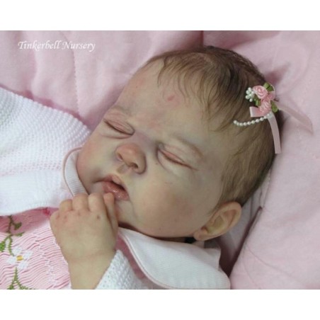 Complete Jazmine Belle kit by Sandy Faber