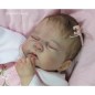Kit completo Jazmine Belle by Sandy Faber Kit completo Jazmine Belle by Sandy Faber