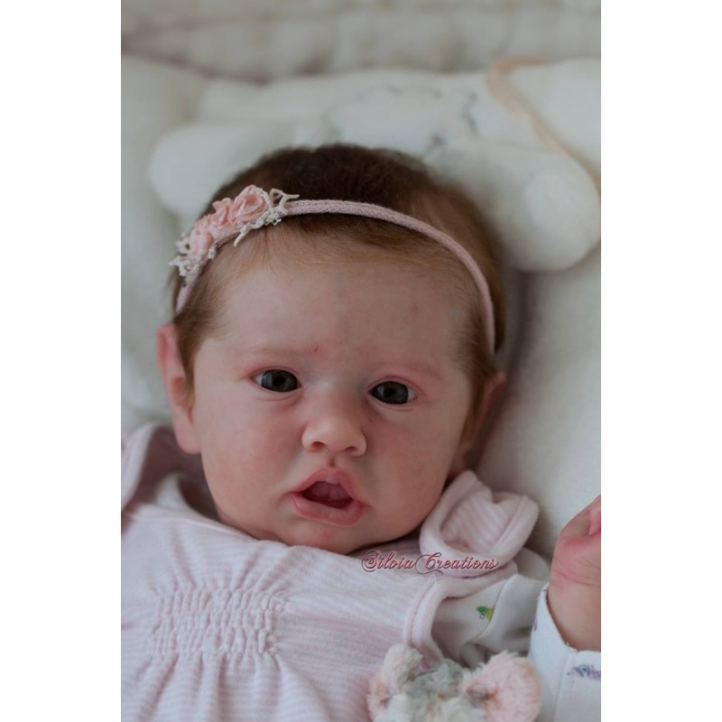 Saskia kit 2024