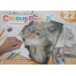 Colour Pencil AVS-CPN208-3T