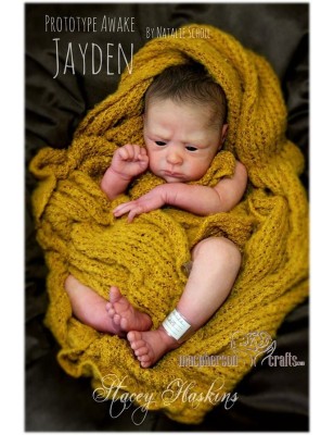JAYDEN AWAKE  ( + pancino ) by Natalie Scholl