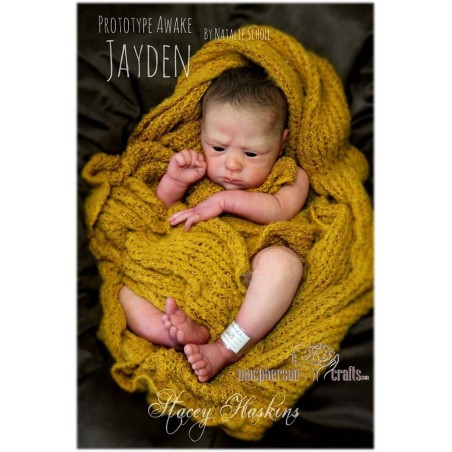 JAYDEN AWAKE  ( + pancino ) by Natalie Scholl