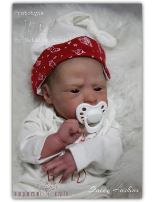 JAYDEN AWAKE  ( + pancino ) by Natalie Scholl