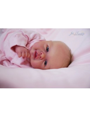 Amélie by Sandy Faber