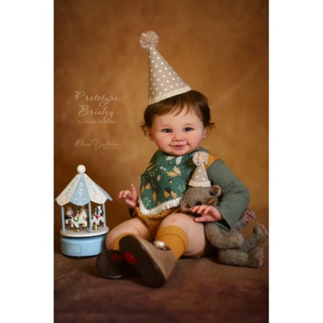 BRINLEY by Dawn Donofrio