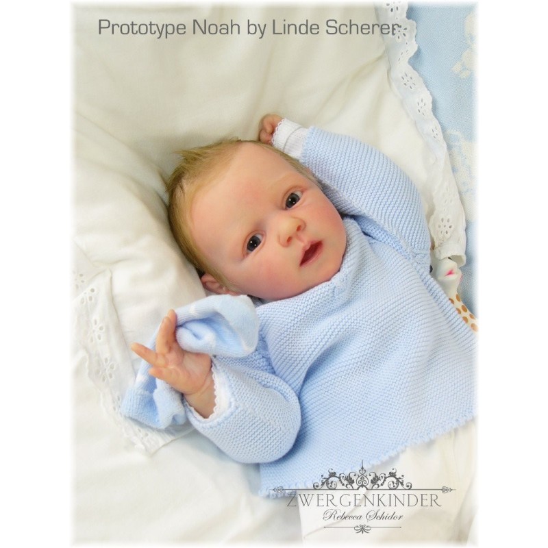 Kit Completo Noah by Linde Scherer