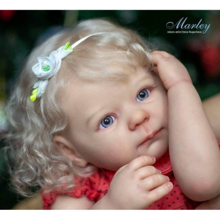 Marley By Ann Timmerman