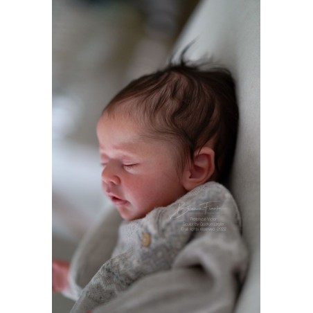 VICTOR by Gudrun Legler