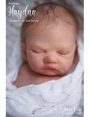 HAYDAN by Lisa Sylvia (PRE-ORDINE)