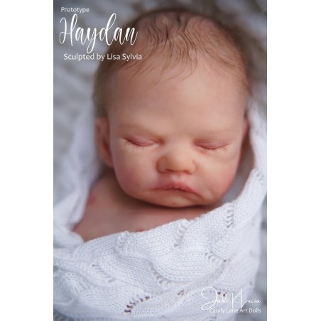 HAYDAN by Lisa Sylvia (PRE-ORDINE)