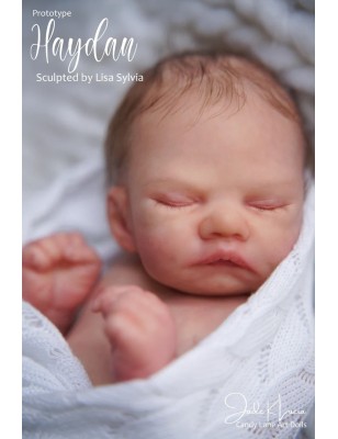 HAYDAN by Lisa Sylvia (PRE-ORDINE)
