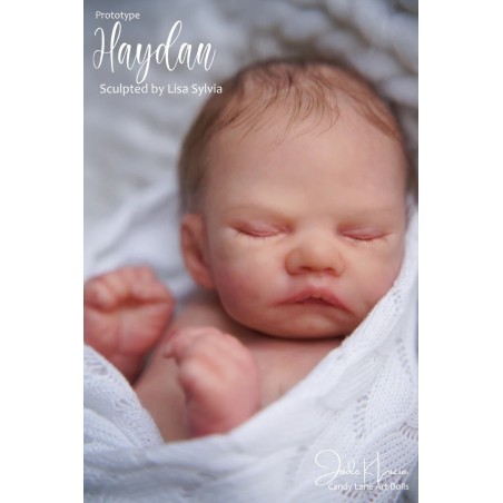 HAYDAN by Lisa Sylvia (PRE-ORDINE)
