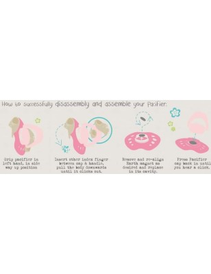 Succhietto Honeybug SWEETHEART REGULAR