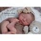 TEDDY by Ashten Bryant (PRE-ORDINE) TEDDY by Ashten Bryant (PRE-ORDINE)