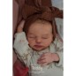 TEDDY by Ashten Bryant (PRE-ORDINE) TEDDY by Ashten Bryant (PRE-ORDINE)