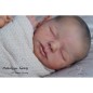 TEDDY by Ashten Bryant (PRE-ORDINE) TEDDY by Ashten Bryant (PRE-ORDINE)