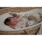 TEDDY by Ashten Bryant (PRE-ORDINE) TEDDY by Ashten Bryant (PRE-ORDINE)