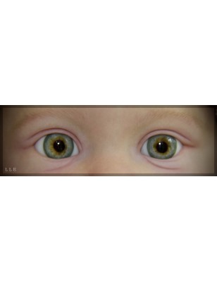 LOTTIE by Laura Lee Eagles (SALDO FINALE)