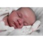 HELENA by Priscilla Lopes (SALDO FATTURA) HELENA by Priscilla Lopes (SALDO FATTURA)