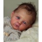 RAPHAEL by Severine Piret (PRE-ORDINE)