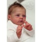 RAPHAEL by Severine Piret (PRE-ORDINE)