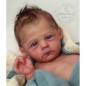 RAPHAEL by Severine Piret (PRE-ORDINE)