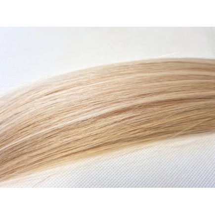 Capelli Umani Lisci - Blonde 1