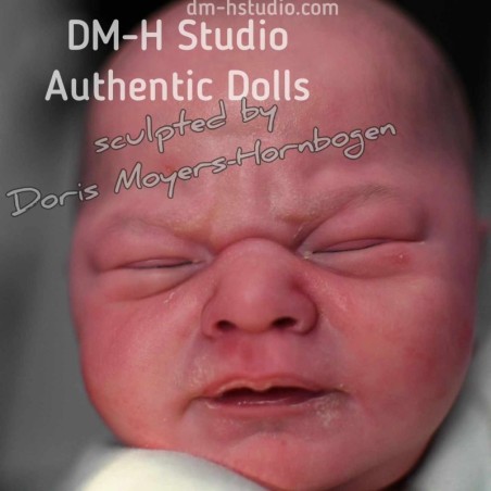 ANGELIQUE by Doris Moyers Hornbogen (PRE-ORDINE)