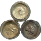 IRHSP - Starter Flesh colors set 3 de 15 ml-1/2 oz.