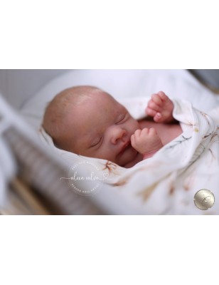LUCAS by Cassie Brace PRE ORDER