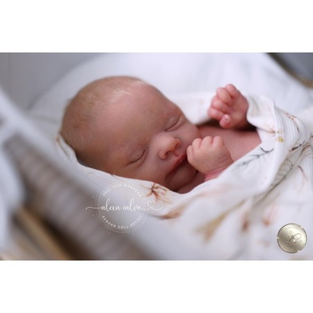 LUCAS by Cassie Brace PRE ORDER