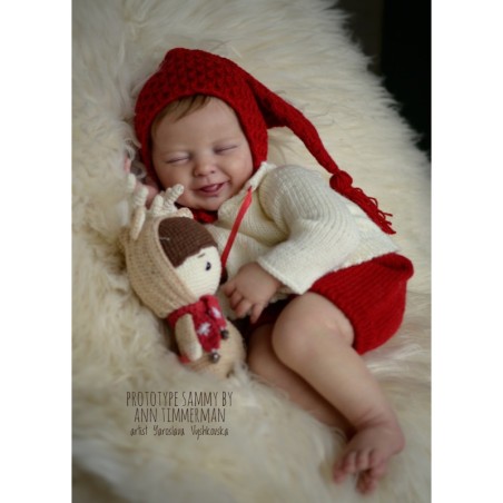 Sammy by Ann Timmerman