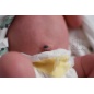 Tummy plate and umbilical cord for Gracie Mae by LLE (PRE-ORDER)