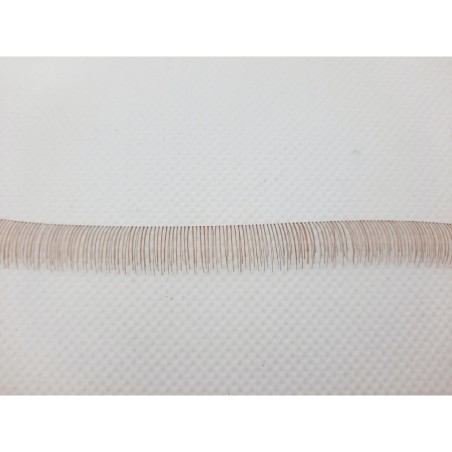 Ciglia 10 cm - Carrot - Clear thread