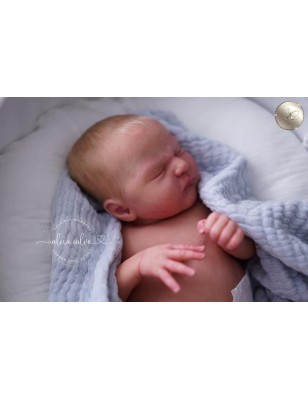 ZACHARY by Lisa Stone