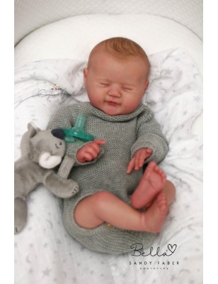 Bella by  Sandy Faber