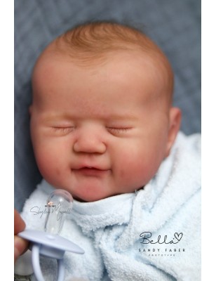 Bella by  Sandy Faber