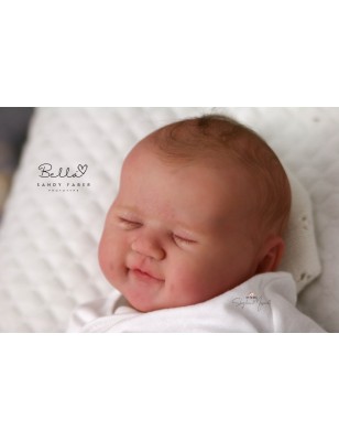 Bella by  Sandy Faber