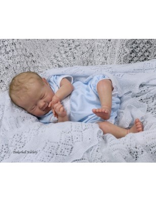 Bella by  Sandy Faber