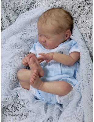 Bella by  Sandy Faber