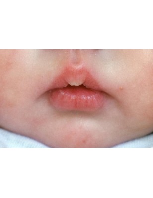 MIKKI by Irina Kaplanskaya (PRE-ORDINE)