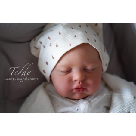 TEDDY by Irina Kaplanskaya (PRE-ORDINE)