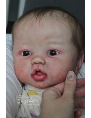 Harper by Sandy Faber