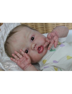 Harper by Sandy Faber